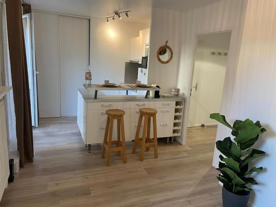 Studio 28 M2 & Jardin Privatif 20 M2 Montigny-le-Bretonneux Kültér fotó